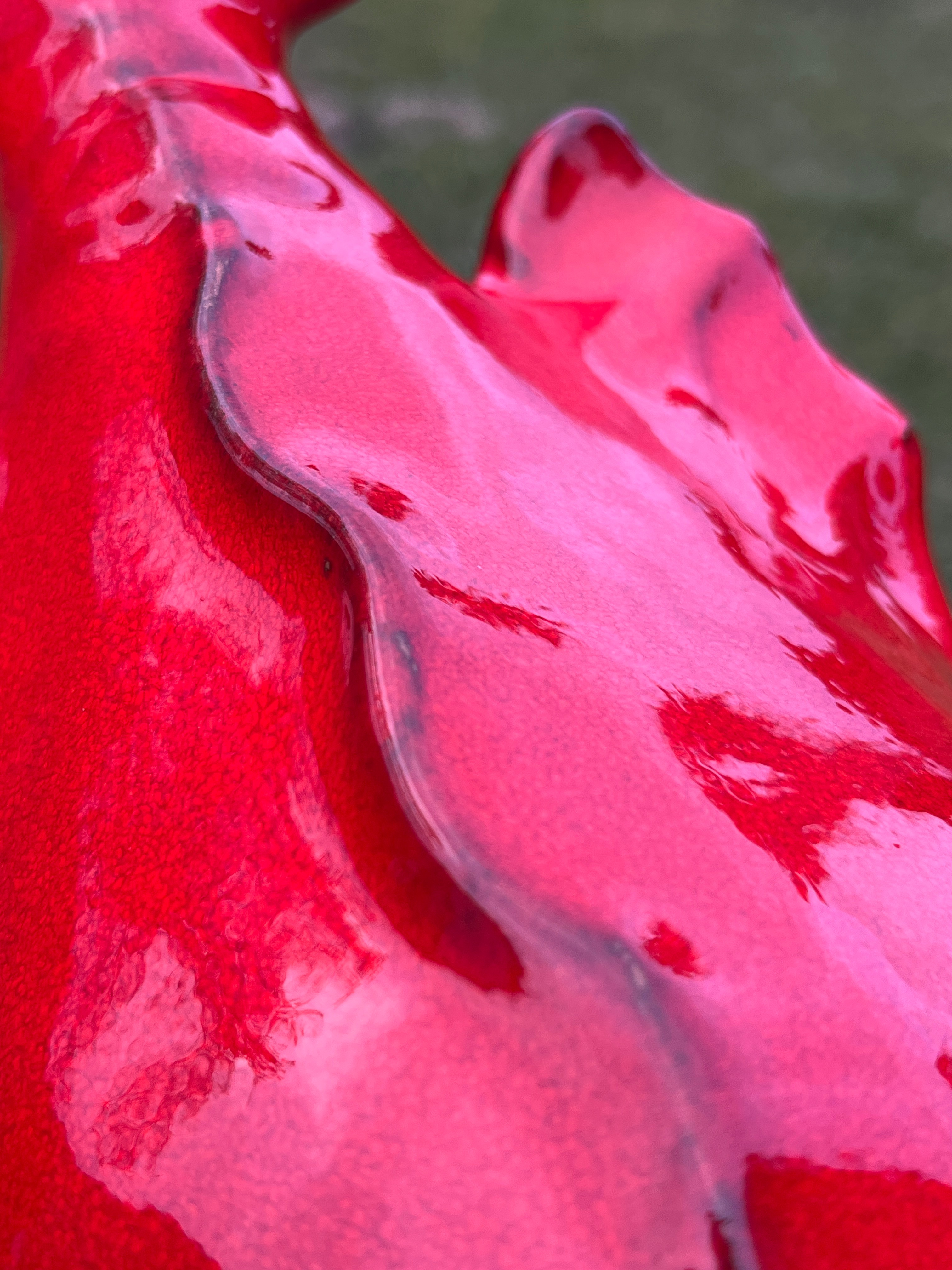 Image of vintage milk cap from JF Murray in Muncy PA