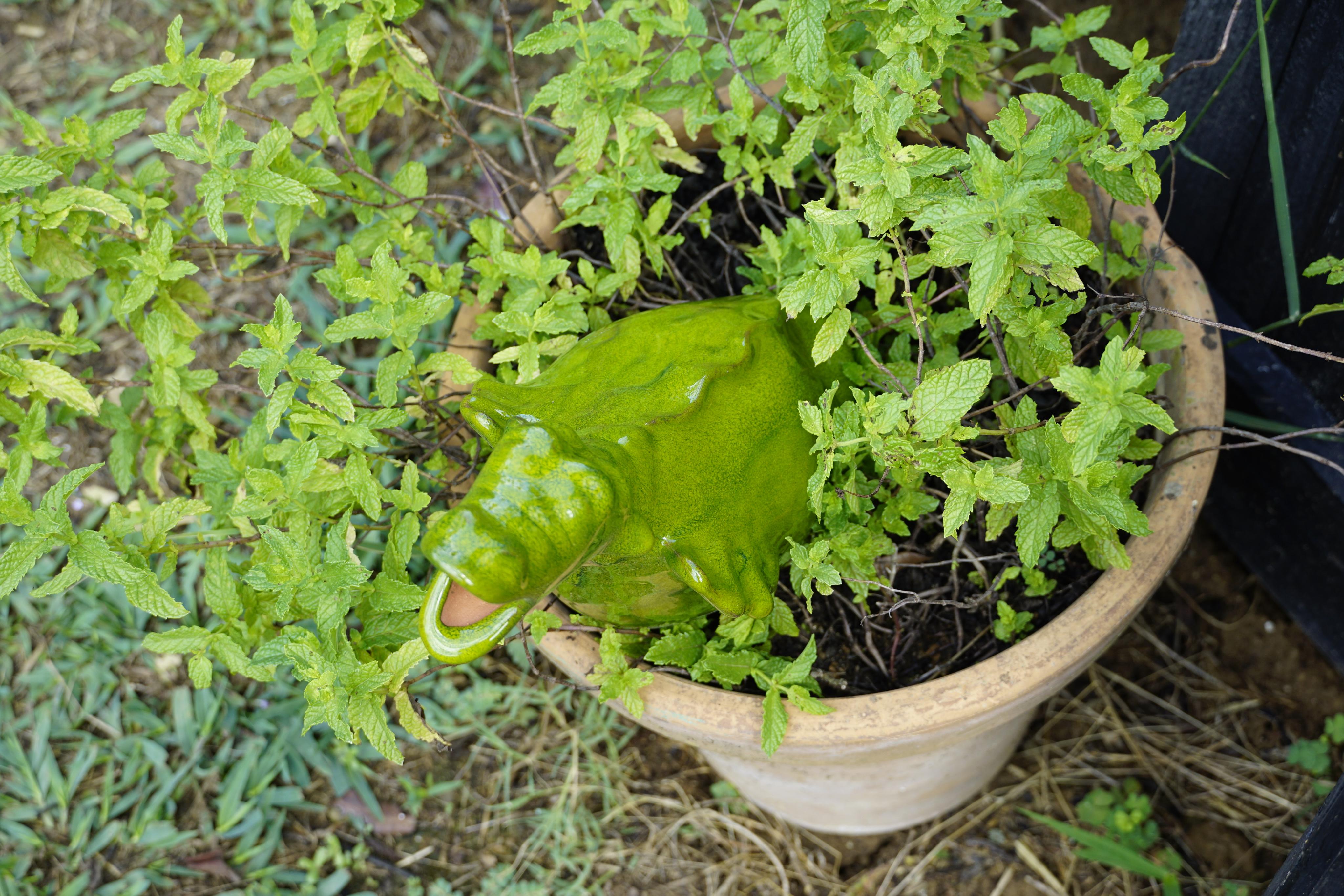 Image of vintage milk cap