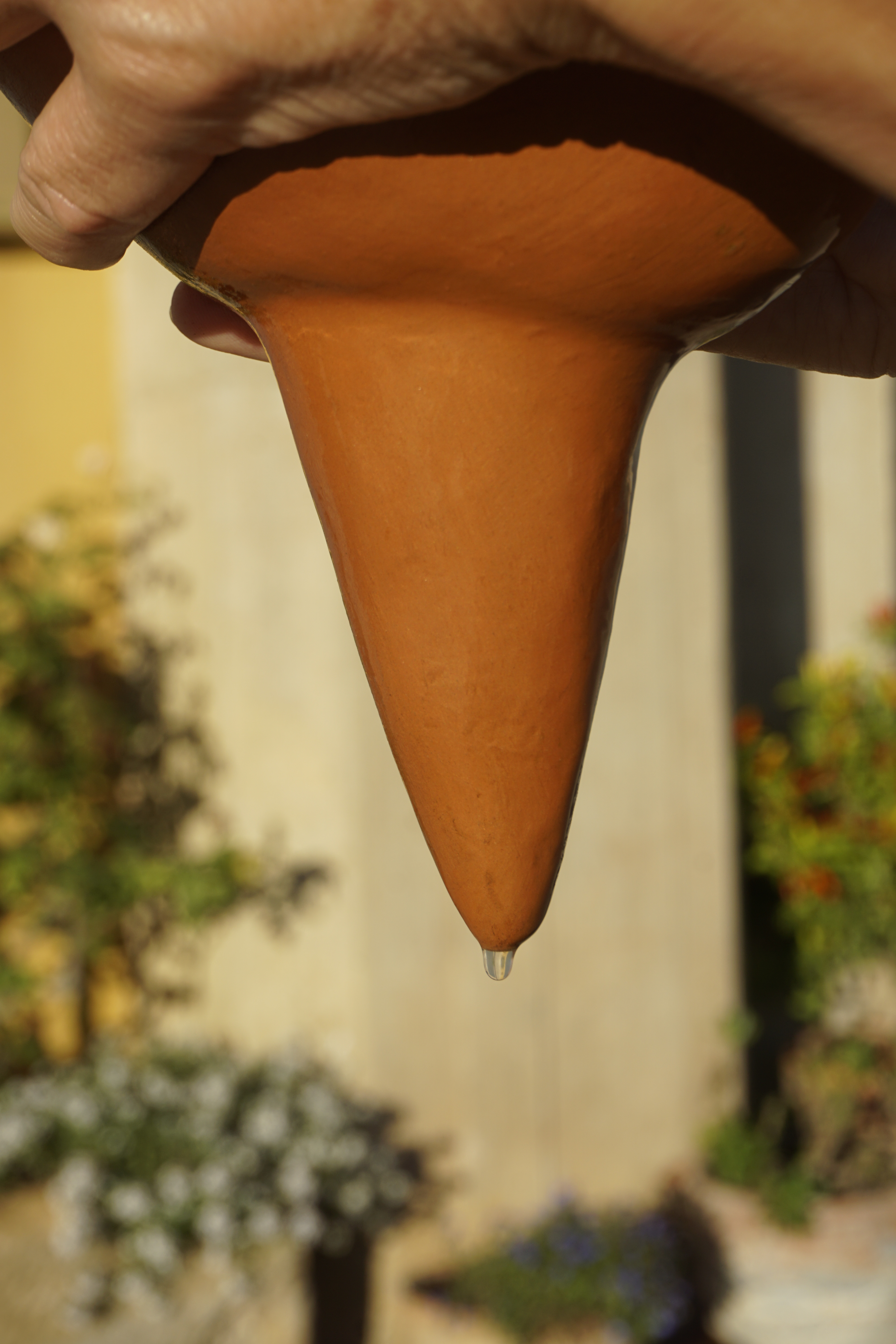 Image of vintage milk cap with blue background and text "homogenized and pasteurized"