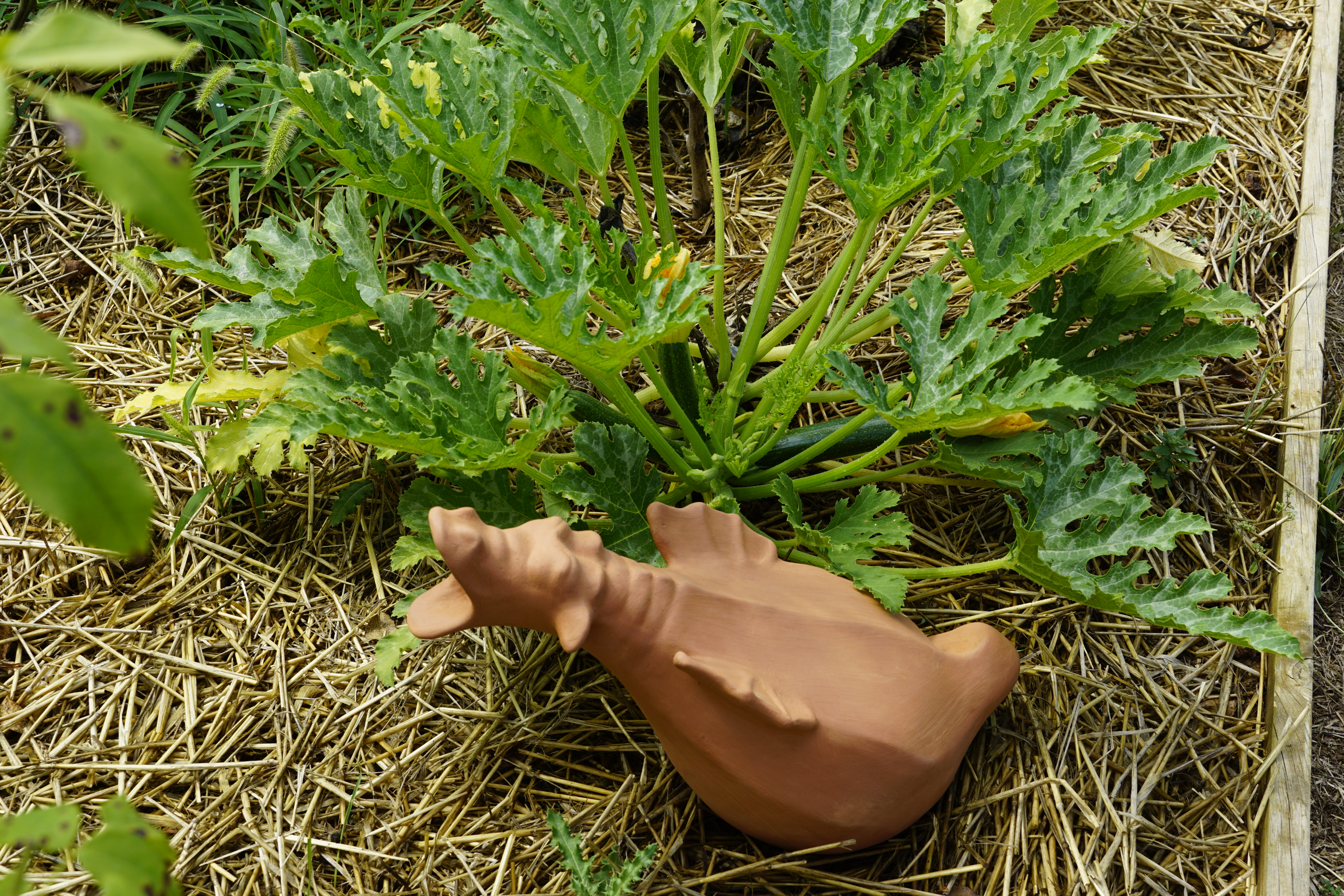 Image of vintage milk cap