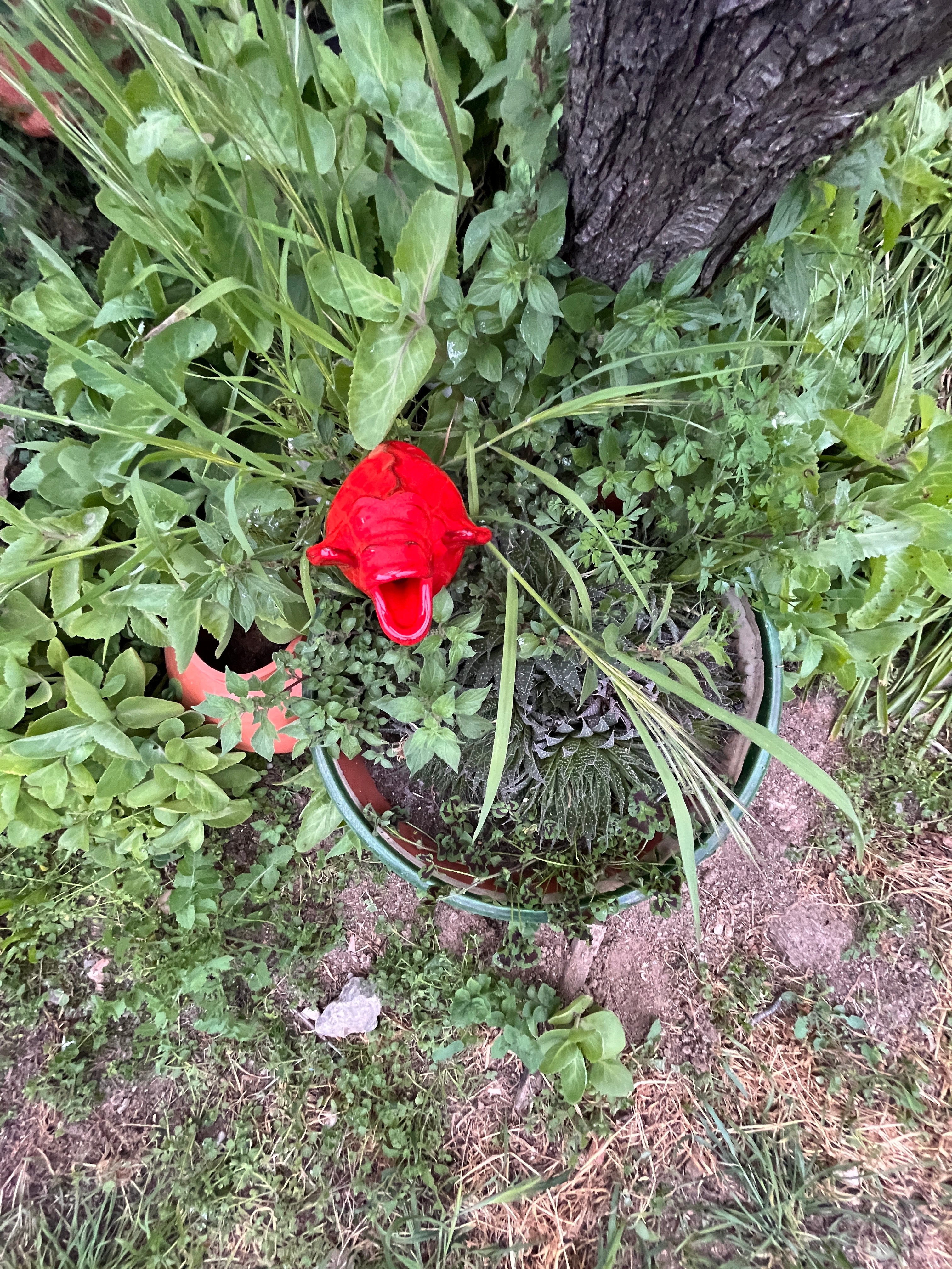 Image of vintage milk cap from JF Murray in Muncy PA