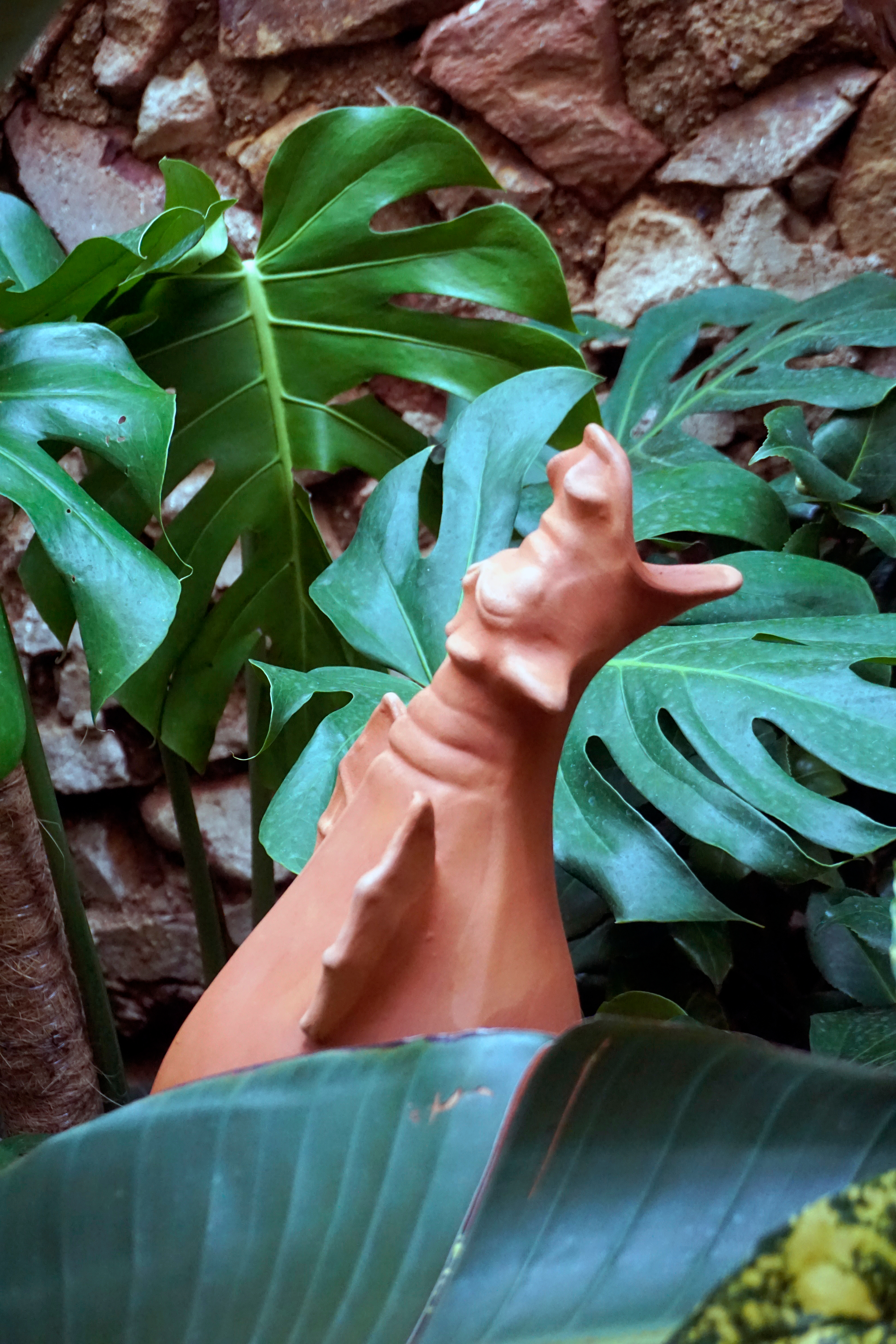Image of vintage milk cap with blue background and text "homogenized and pasteurized"